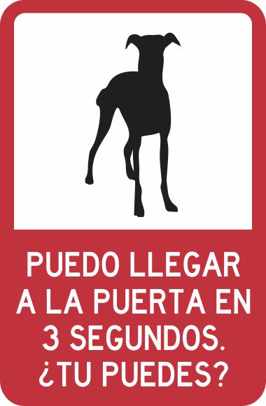 PUEDO LLEGAR A LA PUERTA EN 3 SEGUNDOS ¿TU PUEDES? Simbologic